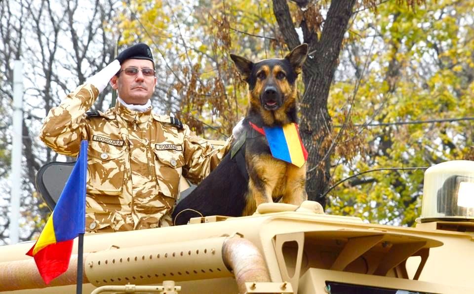 The Hero Dog with the most participation in a National Day Parade: Max the Hero Dog