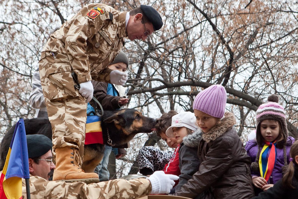 The Hero Dog with the most participation in a National Day parade: Max the Hero Dog