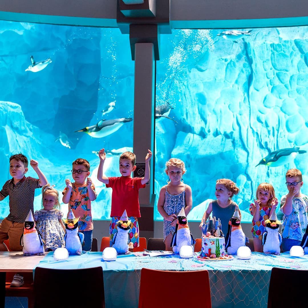 World's Largest Indoor Marine-Life Theme Park, world record in Abu Dhabi, UAE