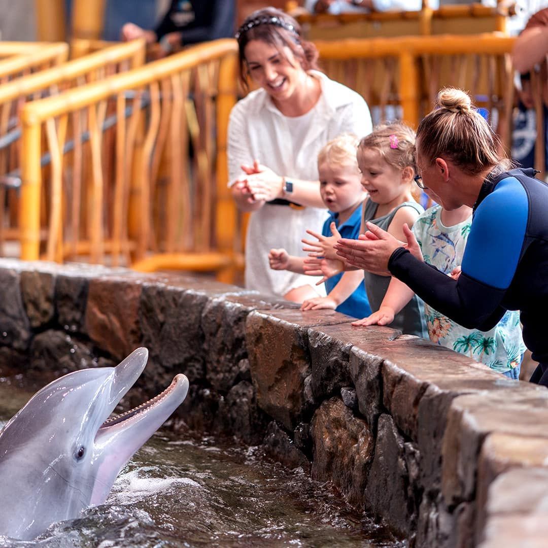 World's Largest Indoor Marine-Life Theme Park, world record in Abu Dhabi, UAE