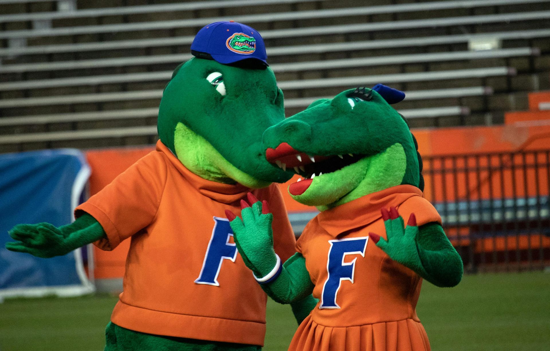 Most fist bumps by a mascot in three minutes, world record by the University of Florida
 