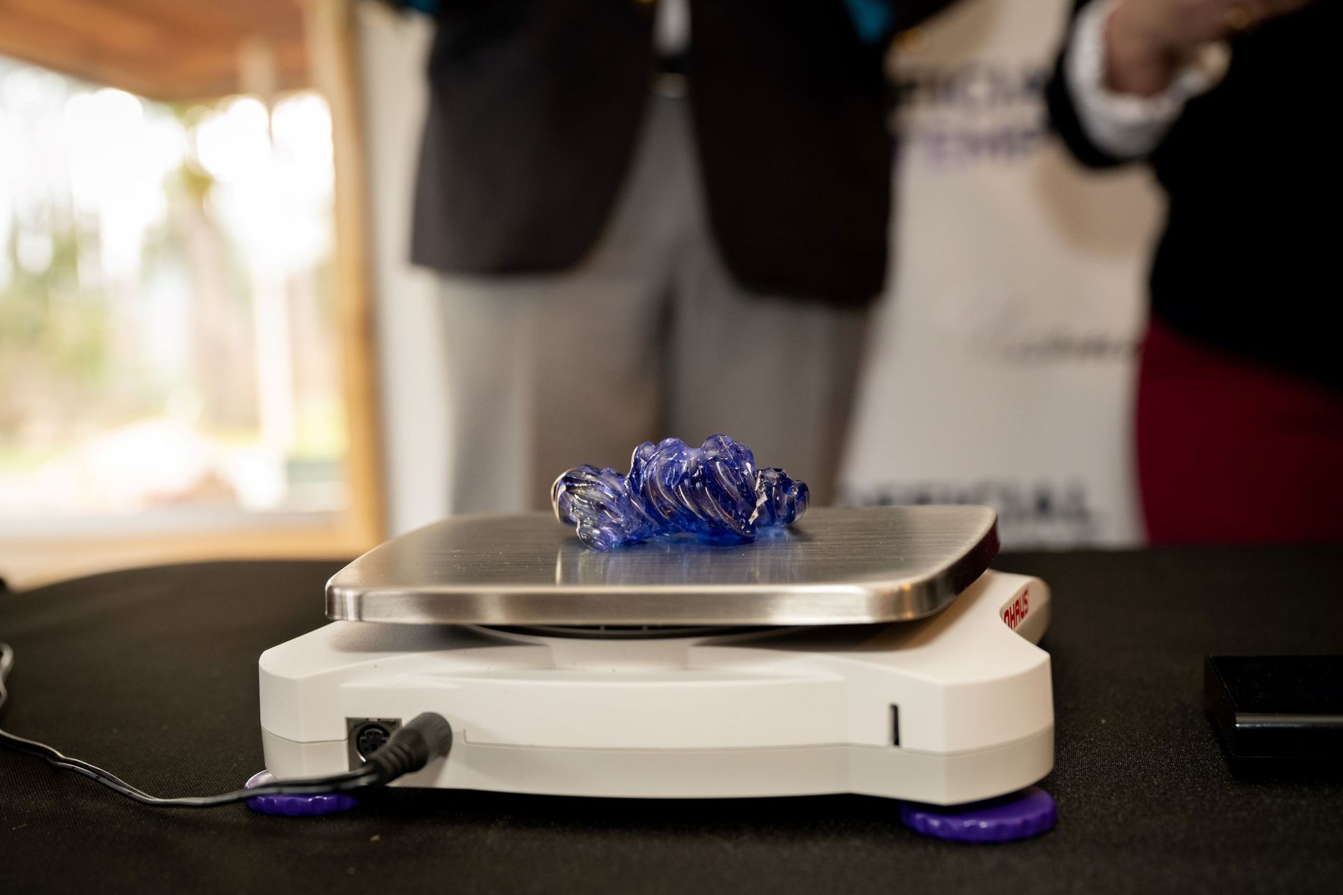 World’s Largest cut Tanzanite, world record set in Hillsboro, Oregon