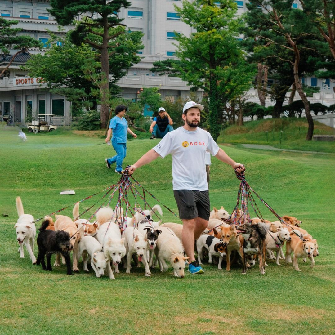 Most dogs walked simultaneously by an individual, world record set in Goesan, South Korea
