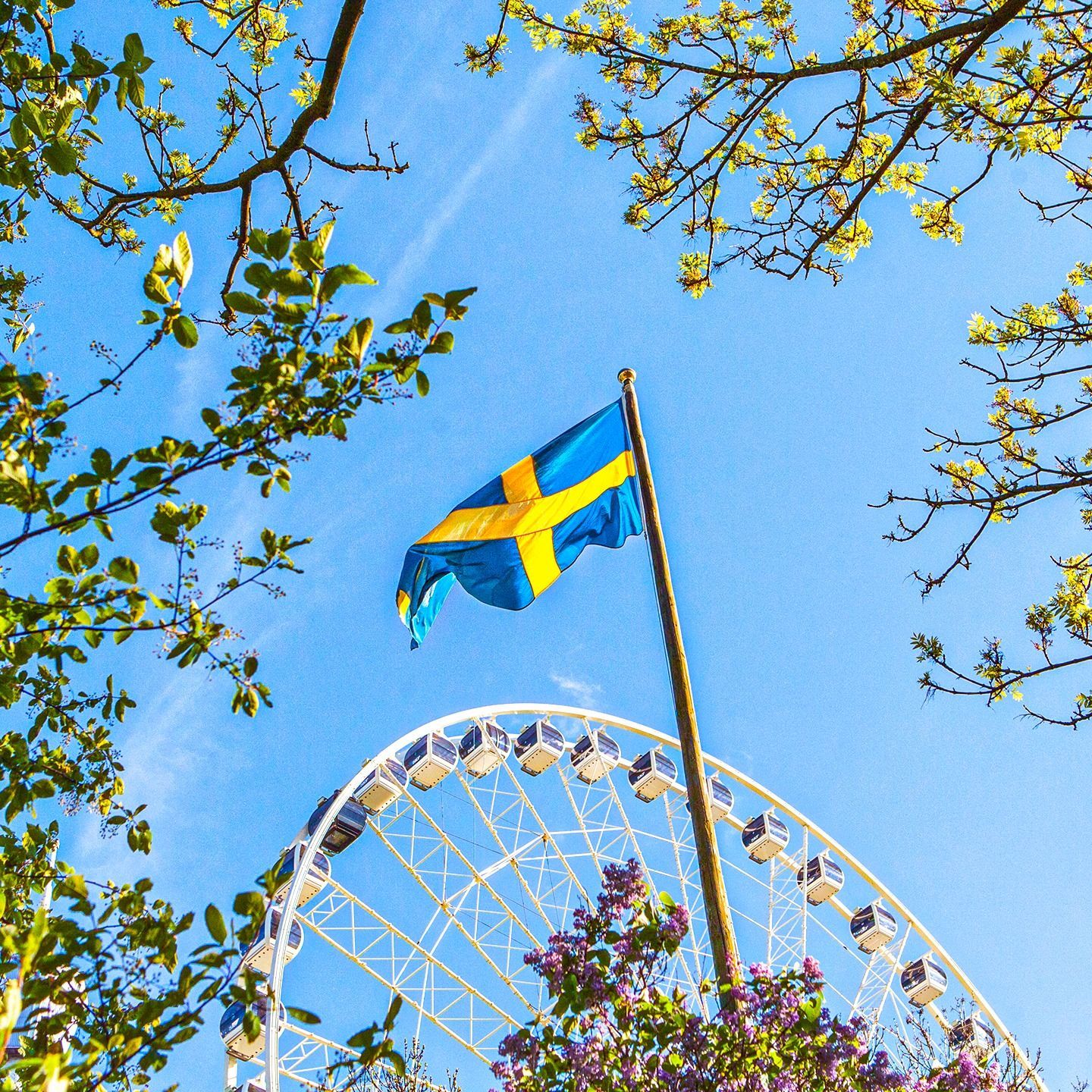 Highest average age for a roller coaster ride, world record set in Gothenburg, Sweden
