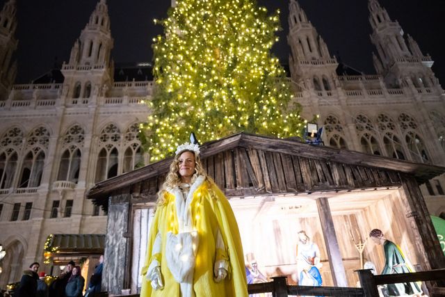 World's Largest Christmas Market, The Vienna Christmas World