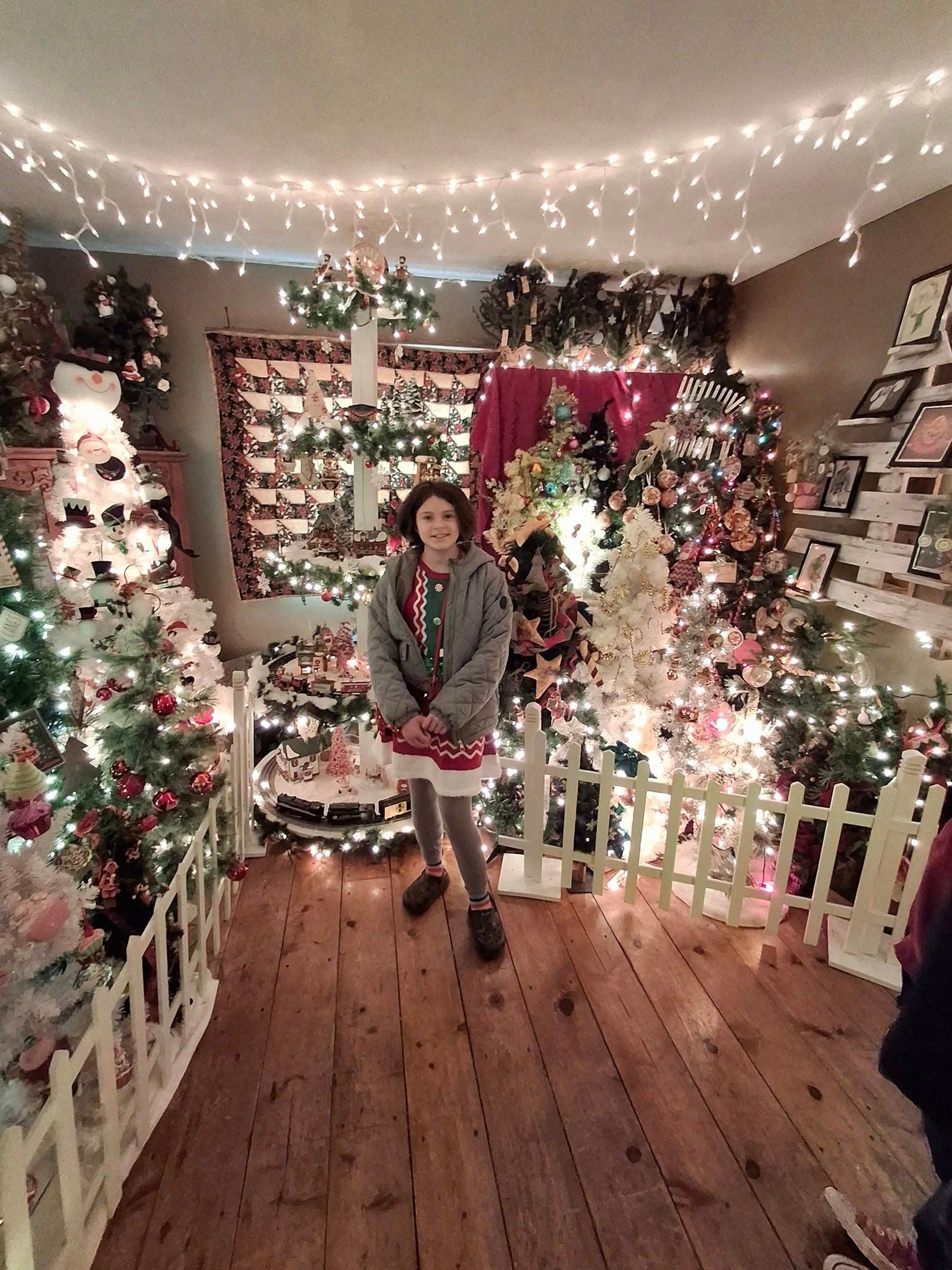 Most decorated Christmas trees in one house, Barbara Hardesty sets world record
