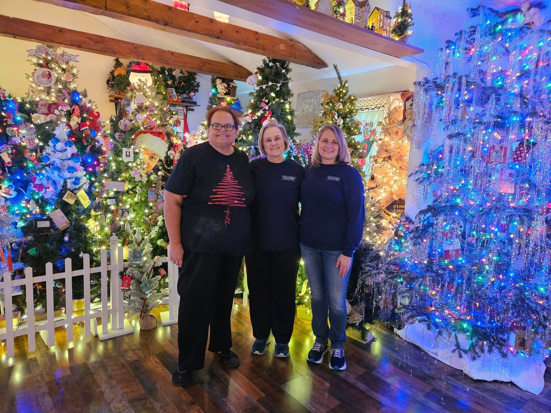 Most decorated Christmas trees in one house, Barbara Hardesty sets world record
