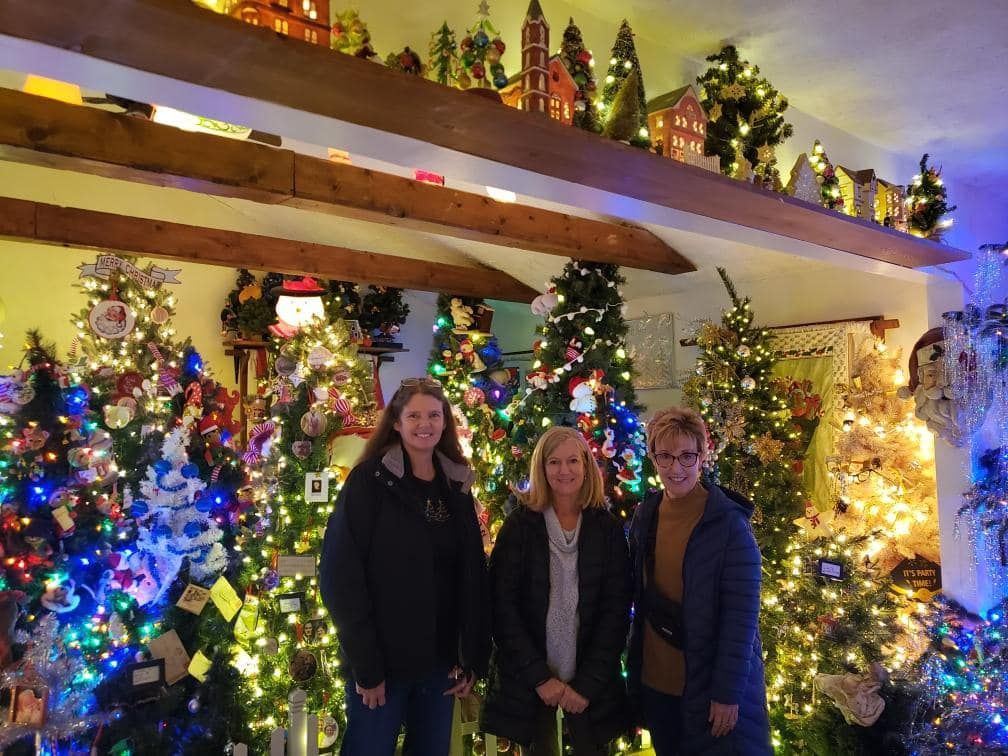 Most decorated Christmas trees in one house, Barbara Hardesty sets world record
