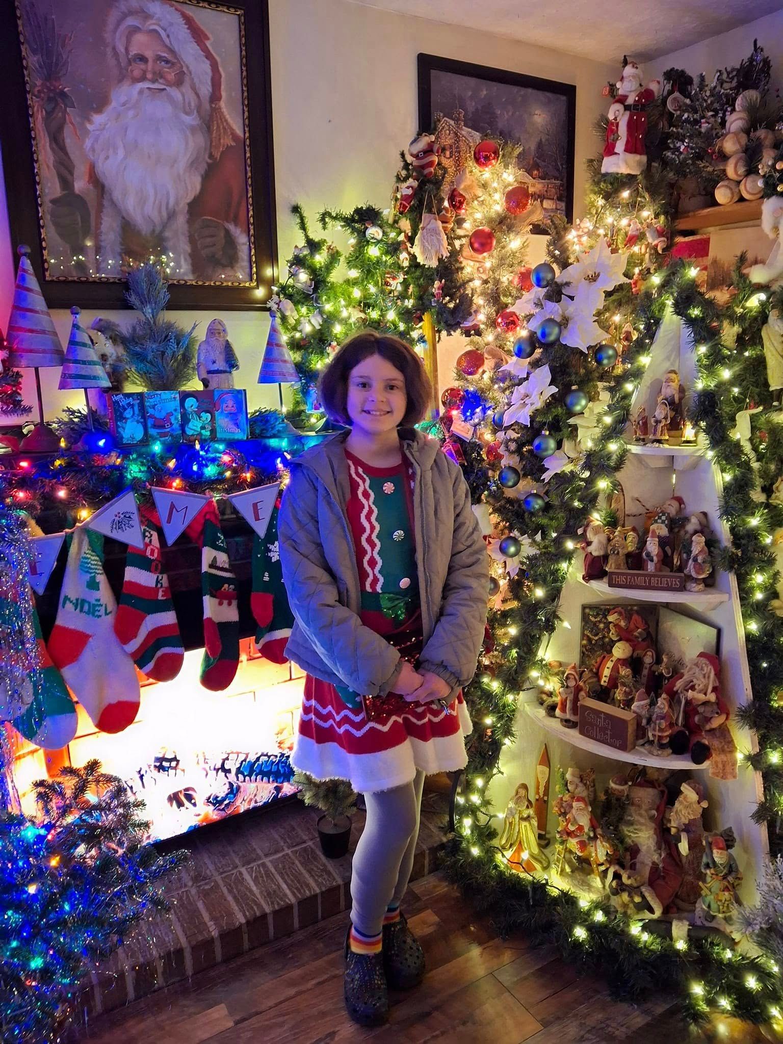 Most decorated Christmas trees in one house, Barbara Hardesty sets world record
