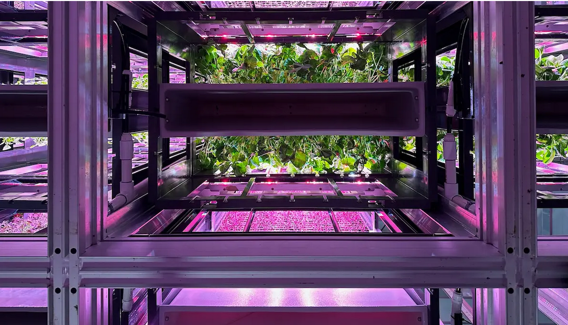 World's First Robotic Vertical Farm, world record set in Phoenix, Arizona World's First Robotic Vertical Farm, world record set in Phoenix, Arizona