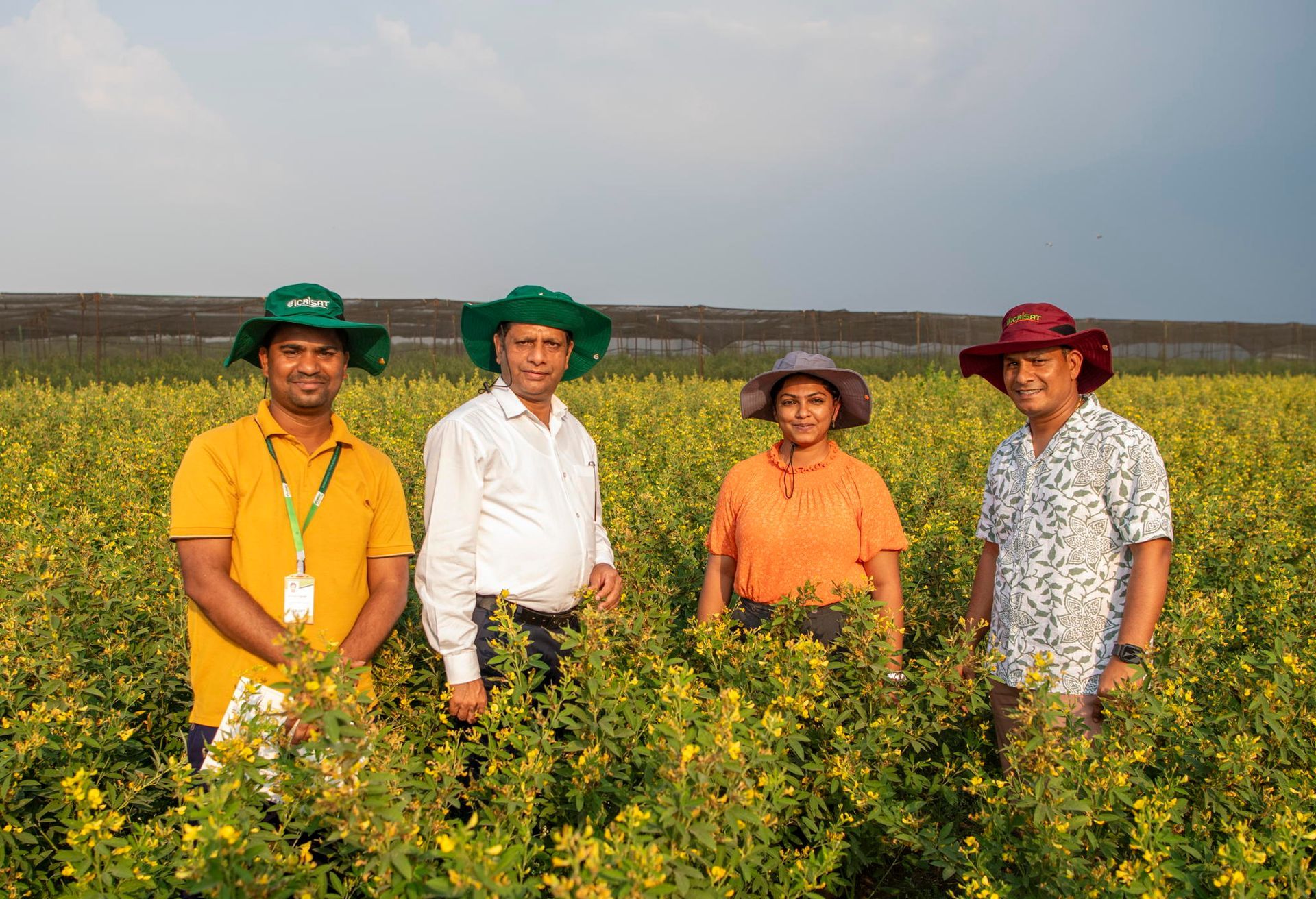 World’s First Heat-resilient Pigeon Pea, India sets world record World’s First Heat-resilient Pigeon Pea, India sets world record