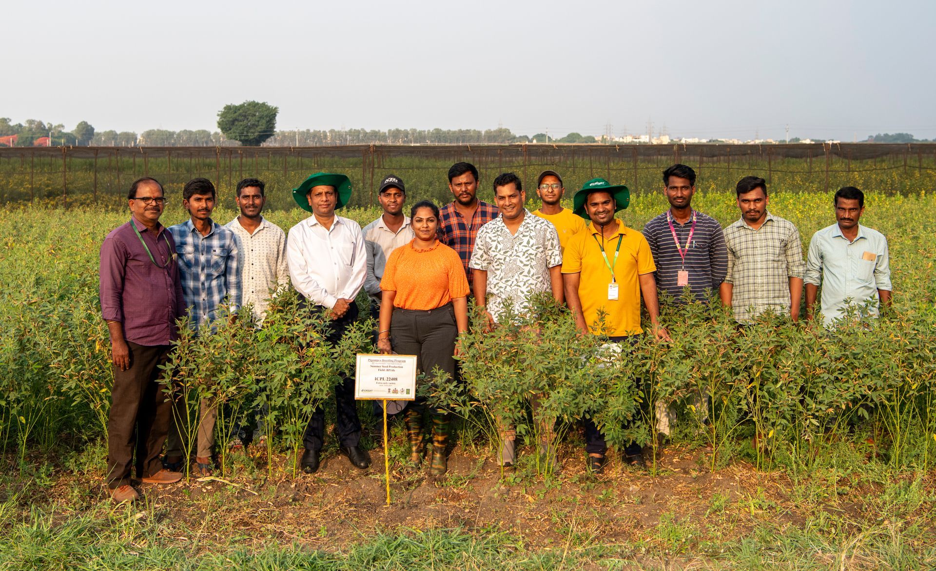World’s First Heat-resilient Pigeon Pea, India sets world record World’s First Heat-resilient Pigeon Pea, India sets world record