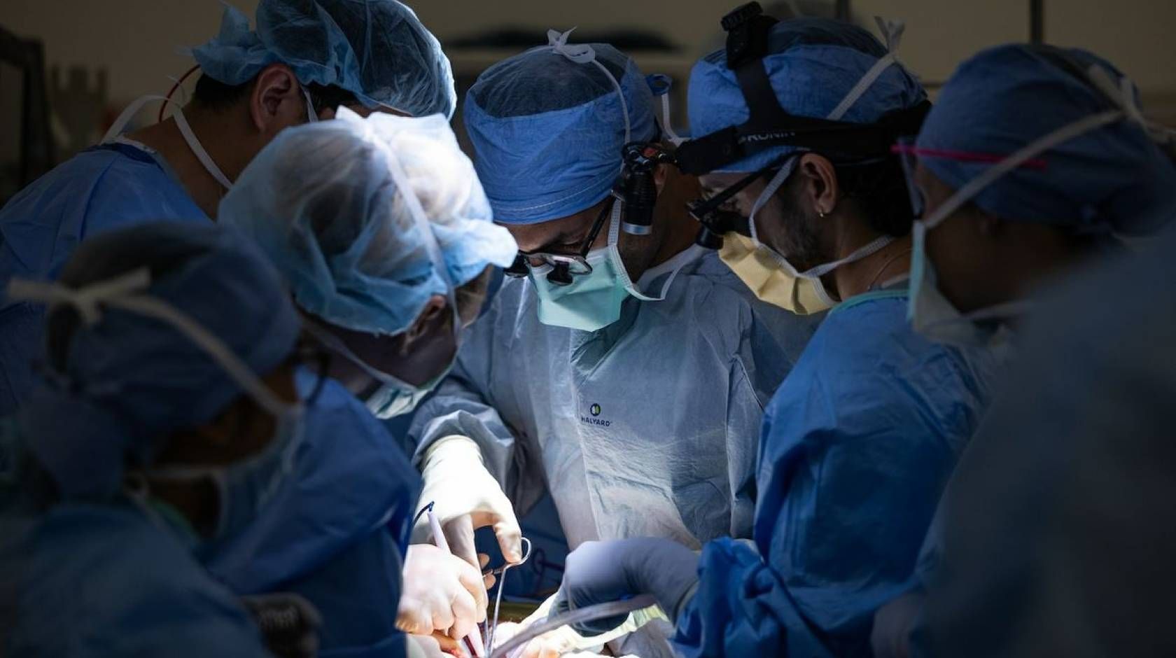World's First Human Bladder Transplant, world record set in Los Angeles, California World's First Human Bladder Transplant, world record set in Los Angeles, California