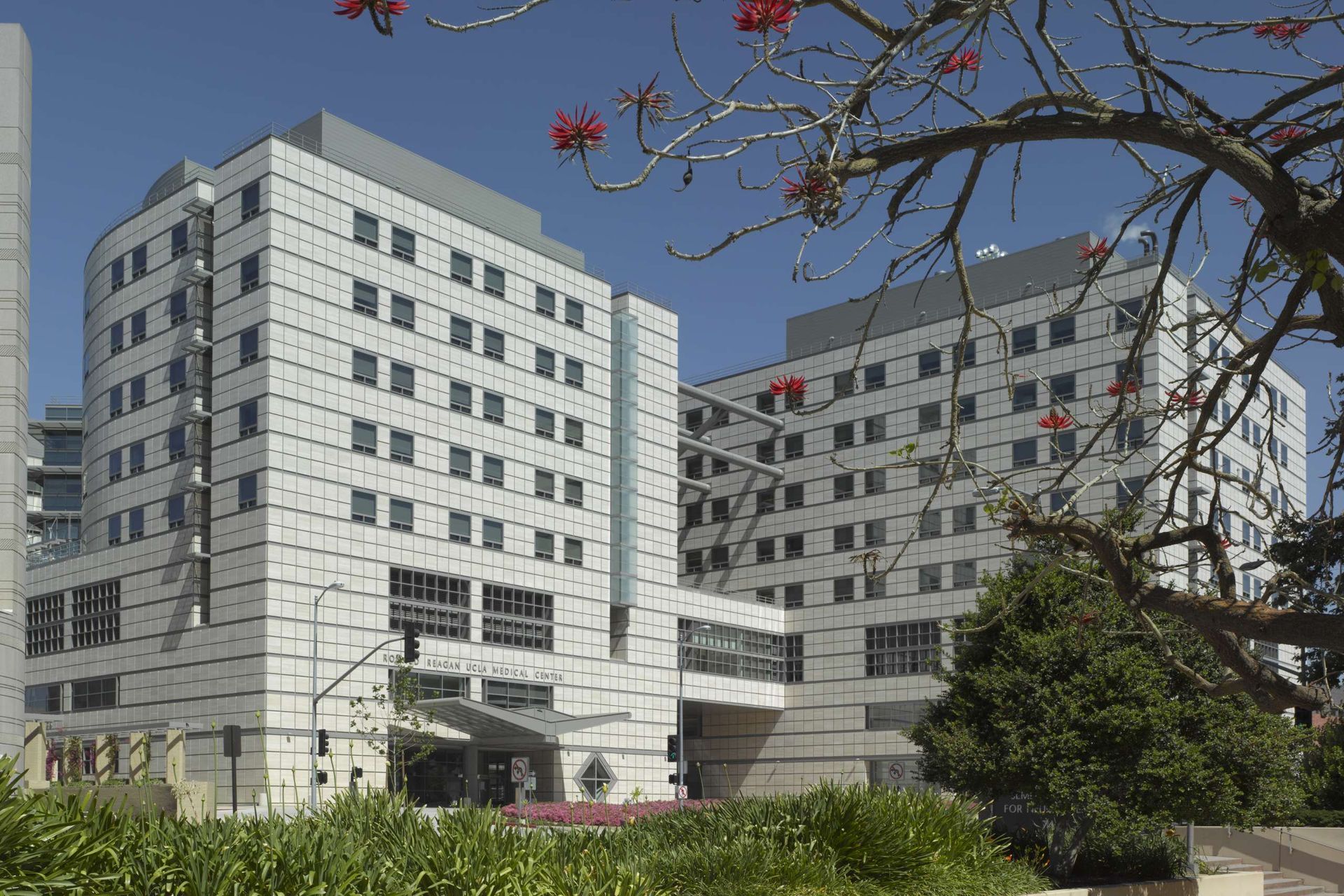 World's First Human Bladder Transplant, world record set in Los Angeles, California World's First Human Bladder Transplant, world record set in Los Angeles, California