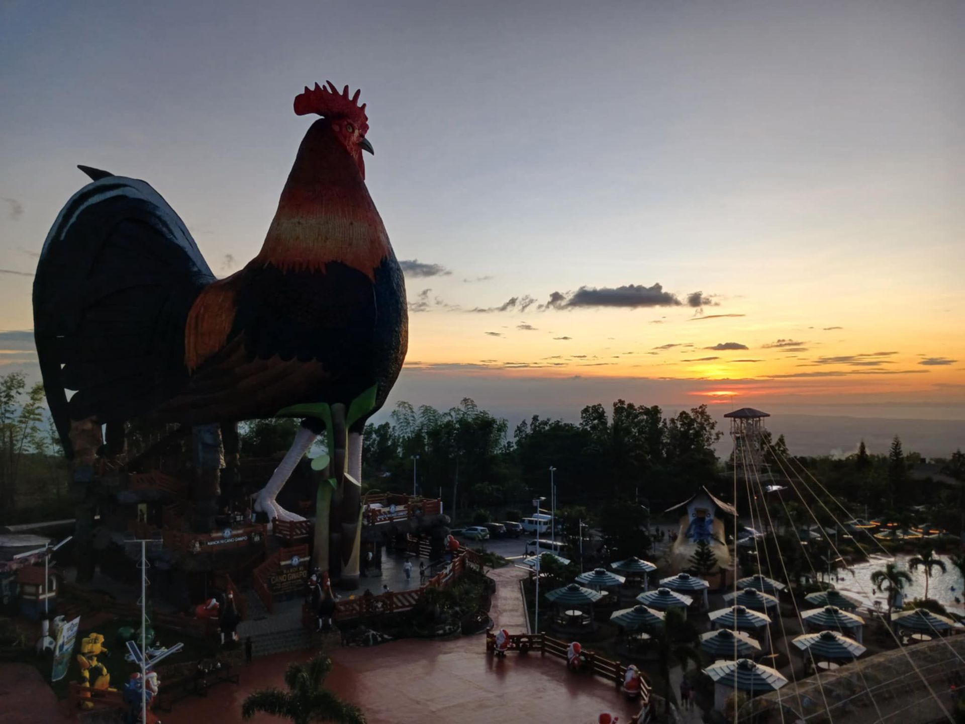 Largest building in the shape of a chicken, world record in Philippines Largest building in the shape of a chicken, world record in Philippines