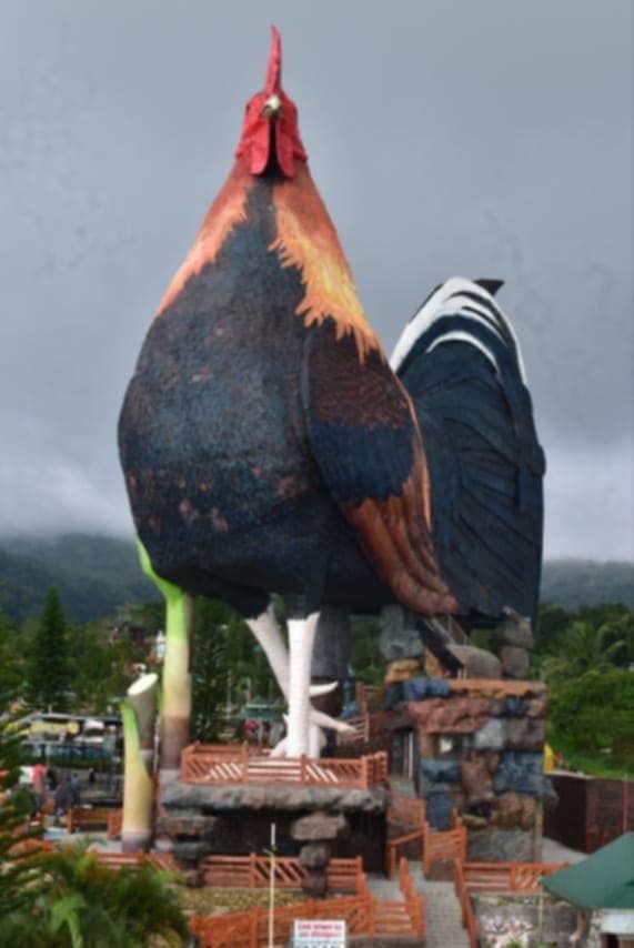 Largest building in the shape of a chicken, world record in Philippines Largest building in the shape of a chicken, world record in Philippines