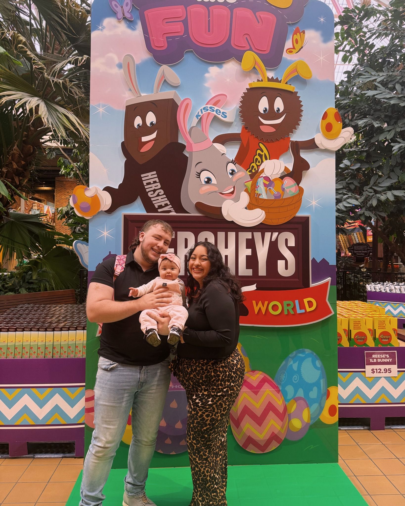  World's Largest Hershey's Bar: Hershey's 5lb Candy Bar sets world record 
