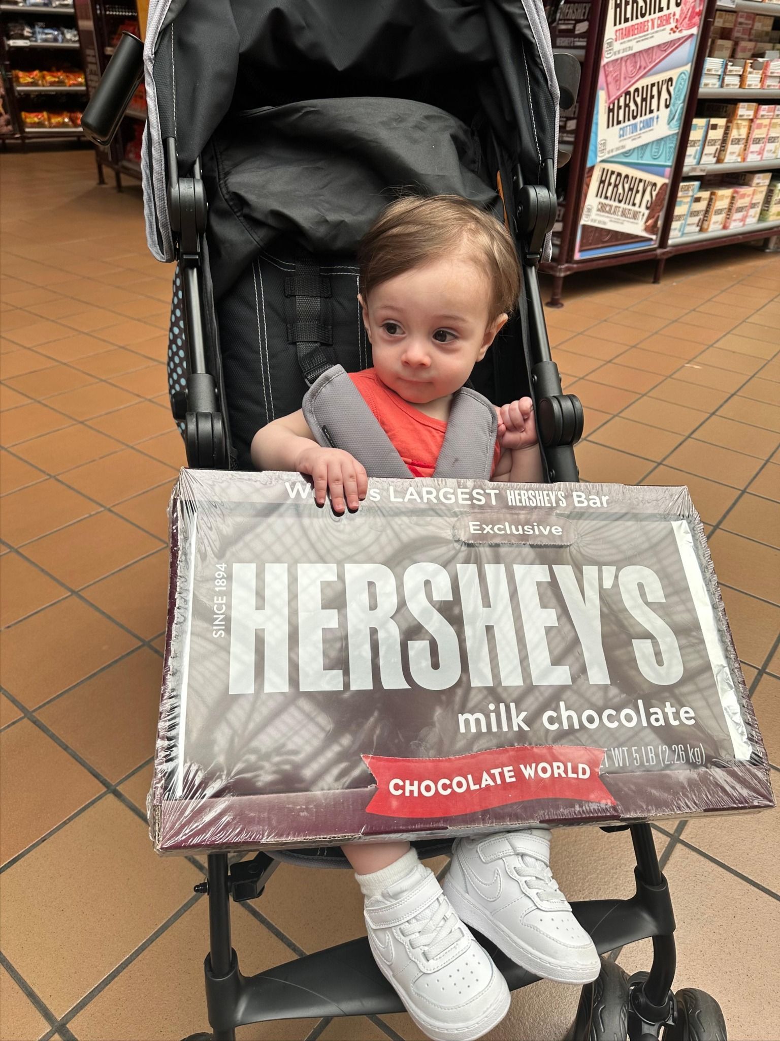  World's Largest Hershey's Bar: Hershey's 5lb Candy Bar sets world record 
