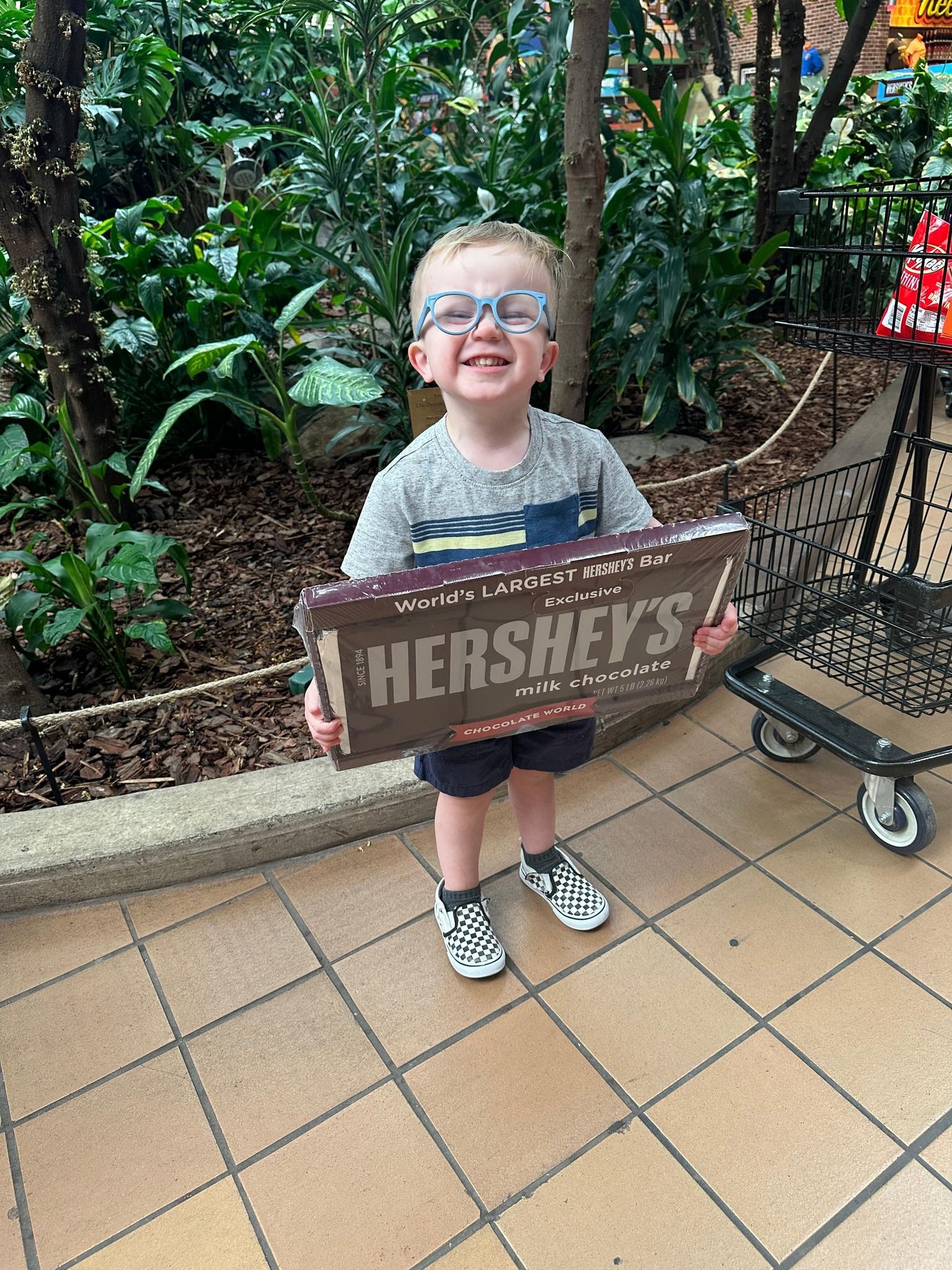  World's Largest Hershey's Bar: Hershey's 5lb Candy Bar sets world record 
