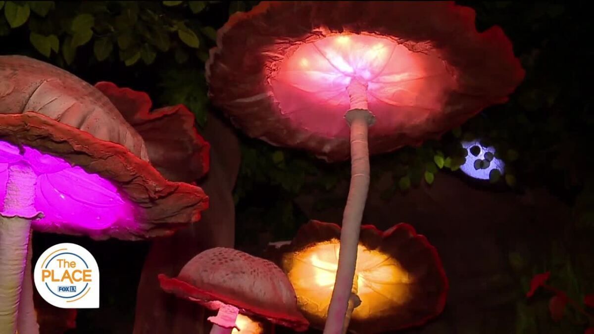 World’s Largest Indoor Cloud Ceiling, world record in Orem, Utah World’s Largest Indoor Cloud Ceiling, world record in Orem, Utah