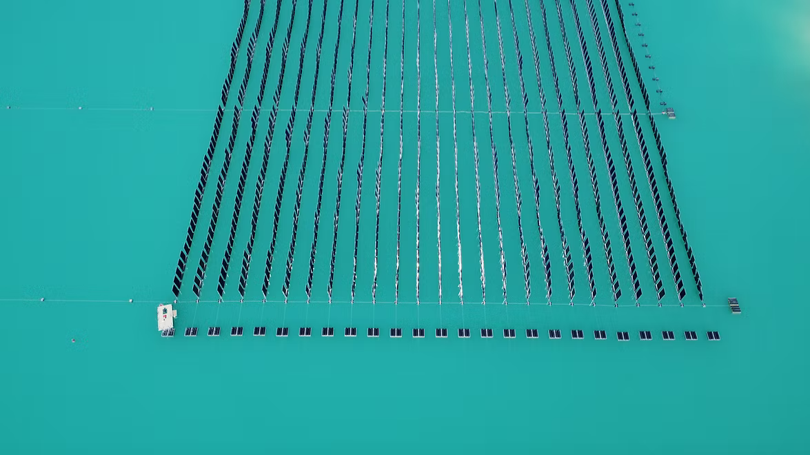 World’s first vertical floating solar power plant, world record in Germany World’s first vertical floating solar power plant, world record in Germany