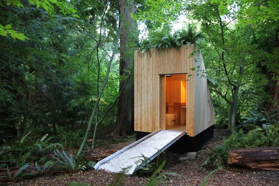 World’s first mushroom-powered waterless toilet, world record in Canada World’s first mushroom-powered waterless toilet, world record in Canada