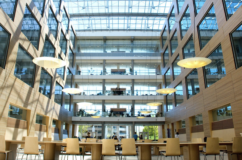 World’s first mushroom-powered waterless toilet, world record in Canada World’s first mushroom-powered waterless toilet, world record in Canada