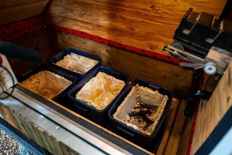 World’s first mushroom-powered waterless toilet, world record in Canada World’s first mushroom-powered waterless toilet, world record in Canada