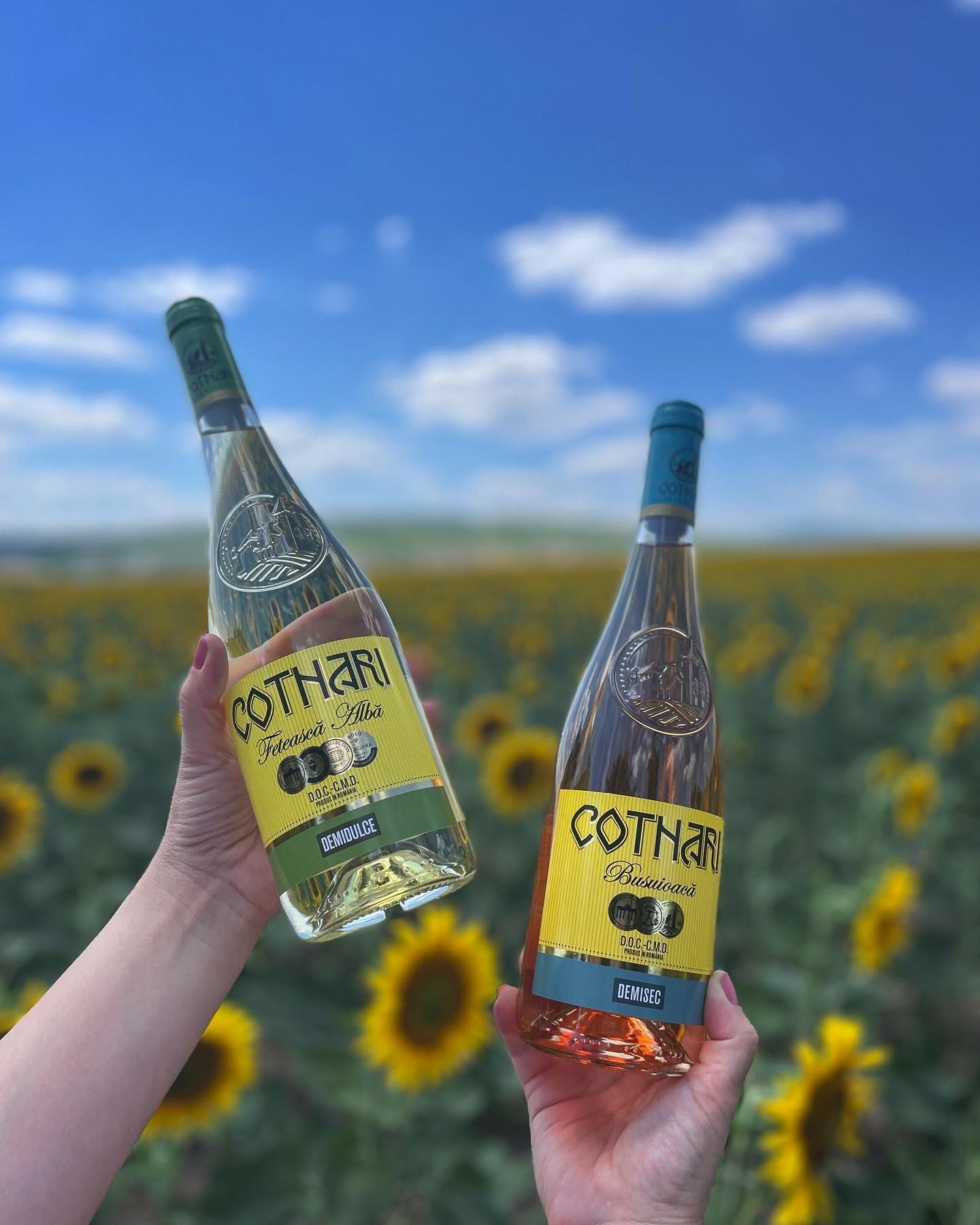 Most Awarded Wine, world record set by Romania's 'Grasa de Cotnari' Most Awarded Wine, world record set by Romania's 'Grasa de Cotnari'