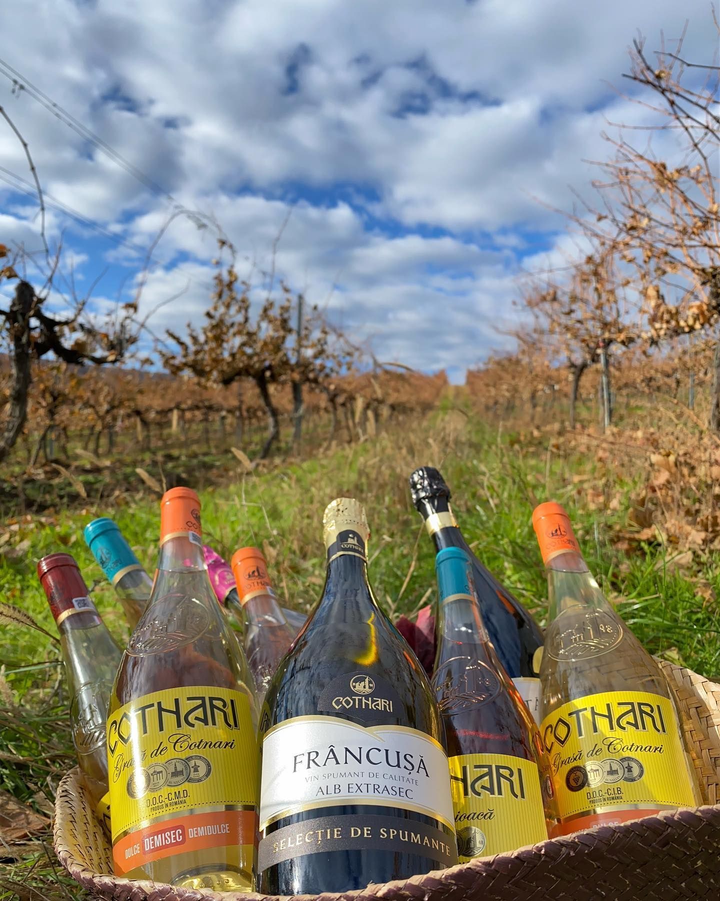 Most awarded winery, world record set by the Cotnari Winery Most awarded winery, world record set by the Cotnari Winery