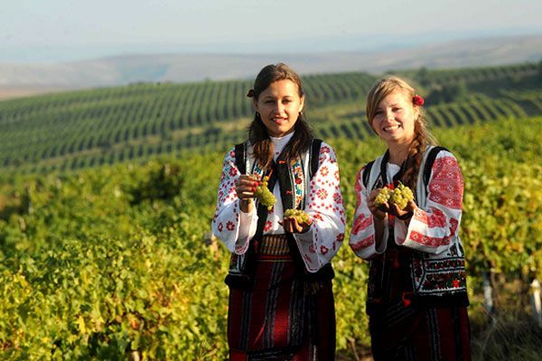 Most awarded winery, world record set by the Cotnari Winery Most awarded winery, world record set by the Cotnari Winery