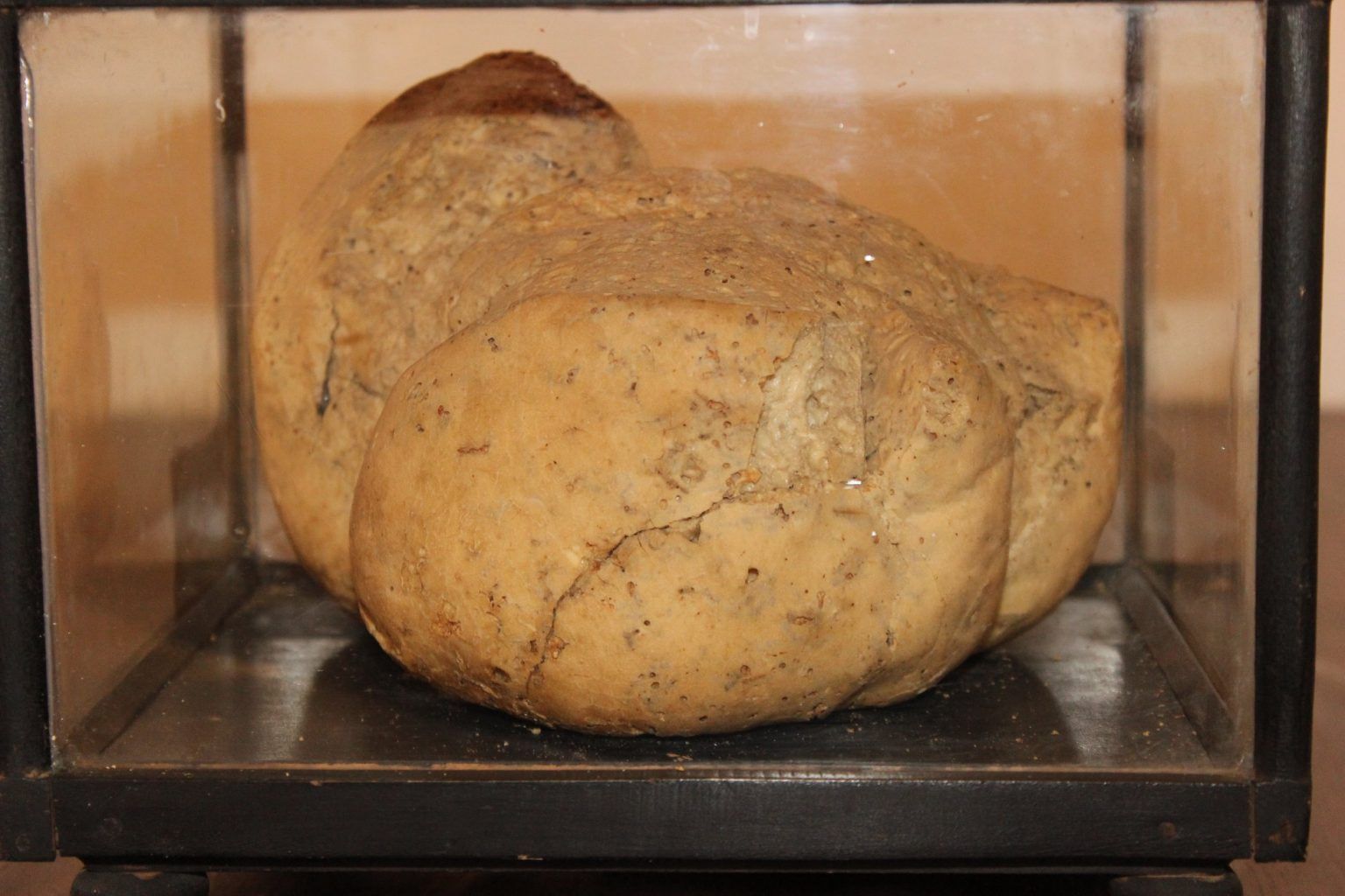 World's Oldest Bread, world record in Galați, Romania World's Oldest Bread, world record in Galați, Romania