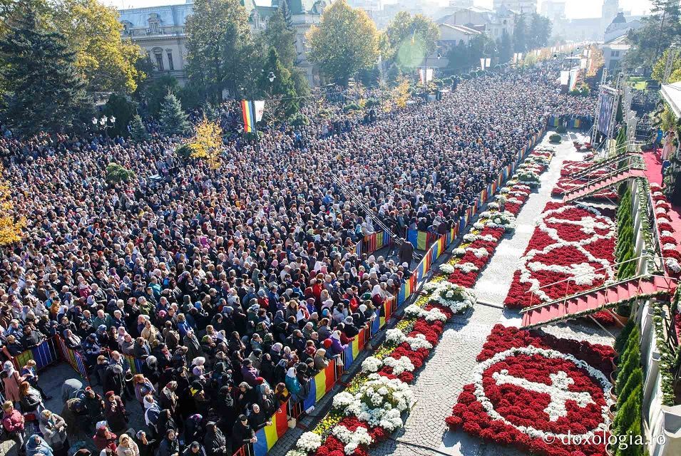 Largest serving of cabbage rolls, world record in Iași, Romania Largest serving of cabbage rolls, world record in Iași, Romania
