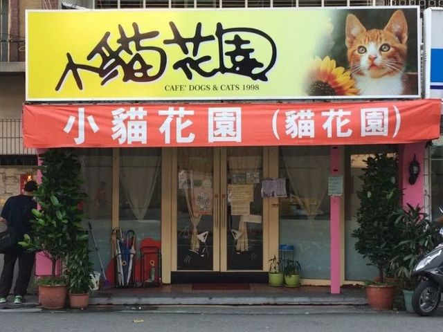 World's First Cat Cafe, world record set in Taipei, Taiwan