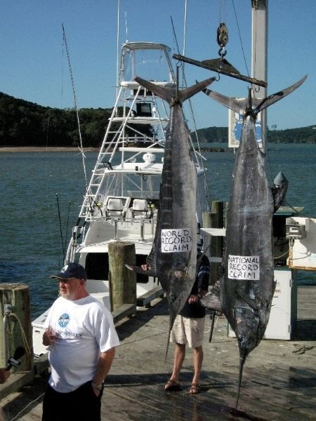  Largest fish caught on 1 kg line-world record set by Guy Jacobsen