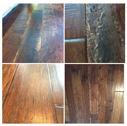 New Year S Resolutions For Hardwood Floors, Will Ammonia Damage Hardwood Floors