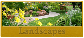 Nice Landscaping - Landscaping Contractor