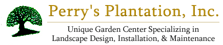 Perry's Plantation Inc.