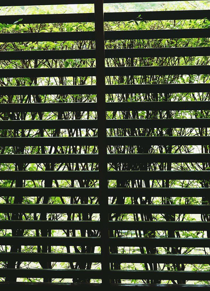 Lattice Battens Covered By Plants — Fencing Contractors In Coffs Harbour, NSW