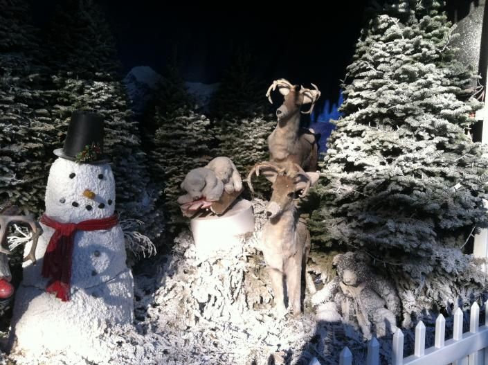 Outdoor Christmas Decorations and Trees