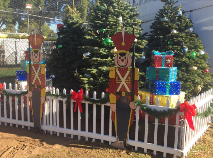 Christmas Trees and Holiday Decor