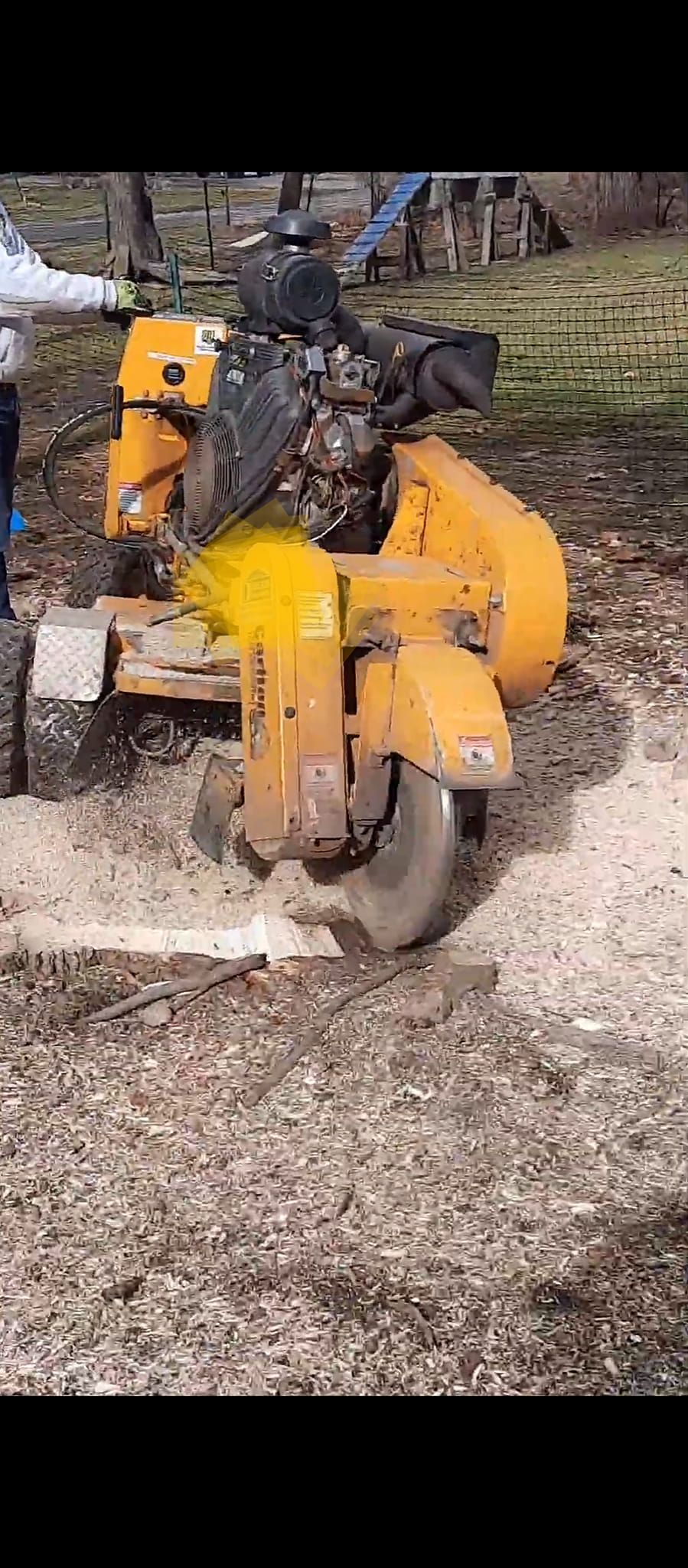 Yellow stump grinder cutting a tree stump in a yard.