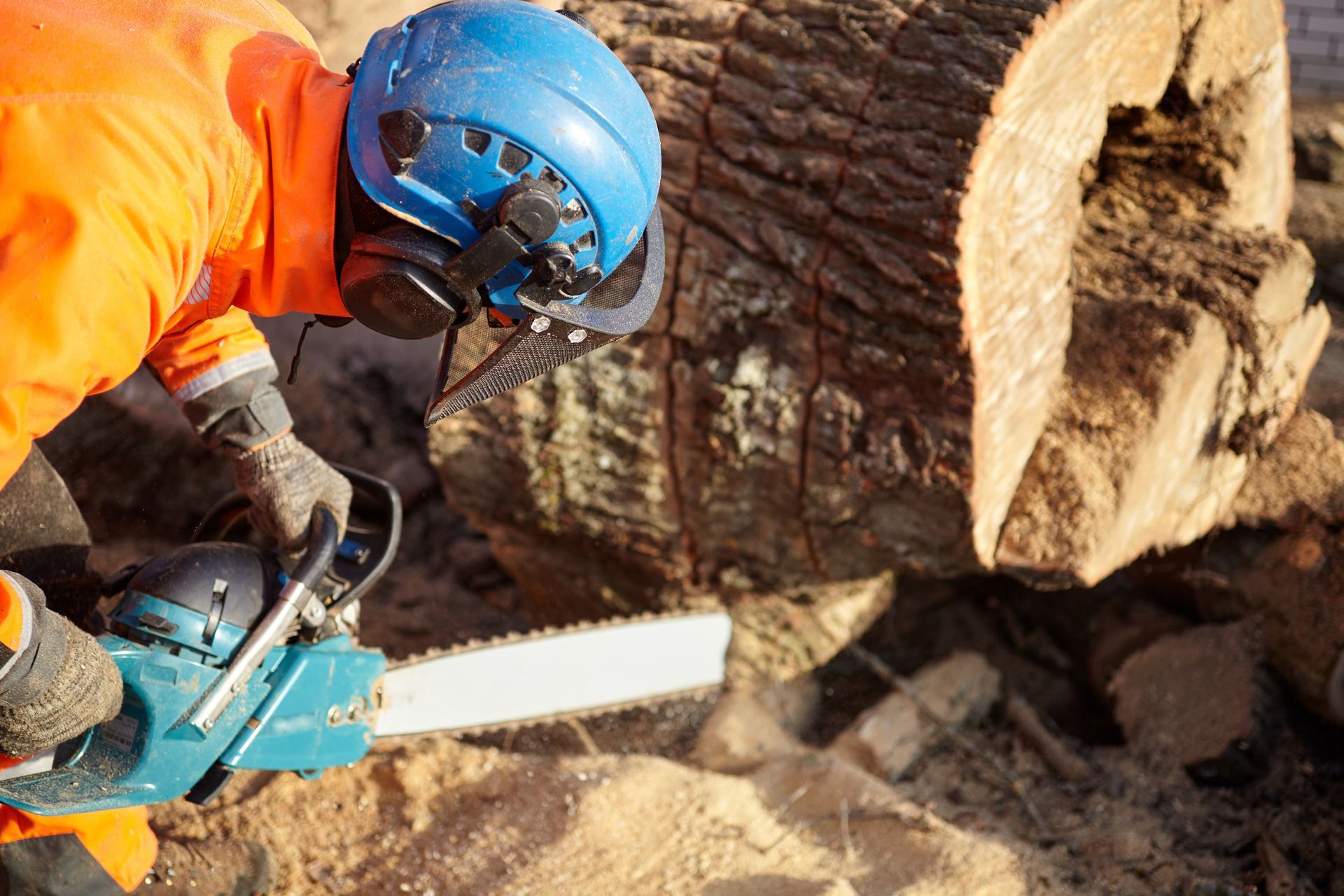 Lumberjack in orange gear and a blue helmet uses a chainsaw on a large log in a daylight setting.