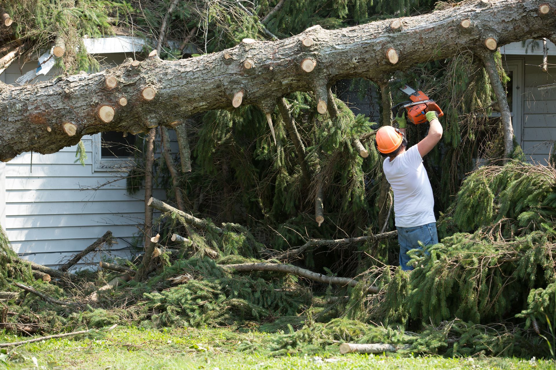 Person in orange hard hat cuts tree branch with chainsaw from a house, debris everywhere.