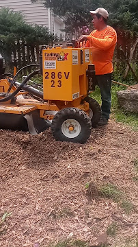 Man operating a yellow stump grinder, surrounded by wood chips. He wears an orange shirt.