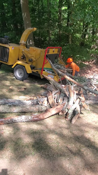 A person in orange shirt feeds branches into a yellow wood chipper in a wooded area.