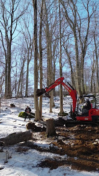 A red excavator and person in a snowy forest removing tree trunks.