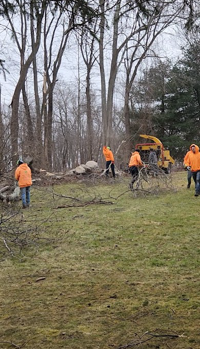 Men in orange vests clear brush near a wood chipper in a grassy area with bare trees.