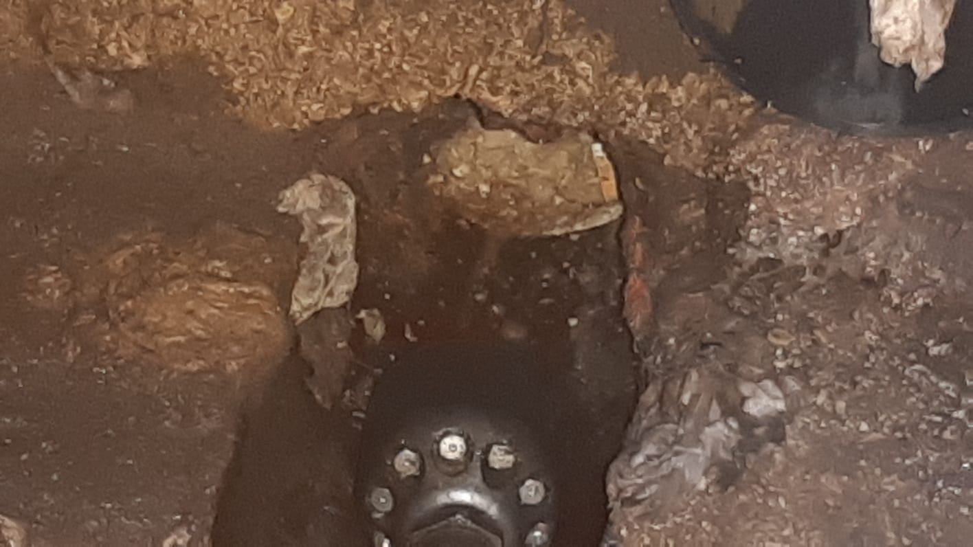 dettaglio videoispezione