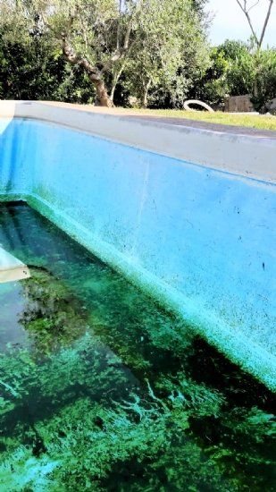 Pulizia acqua della piscina
